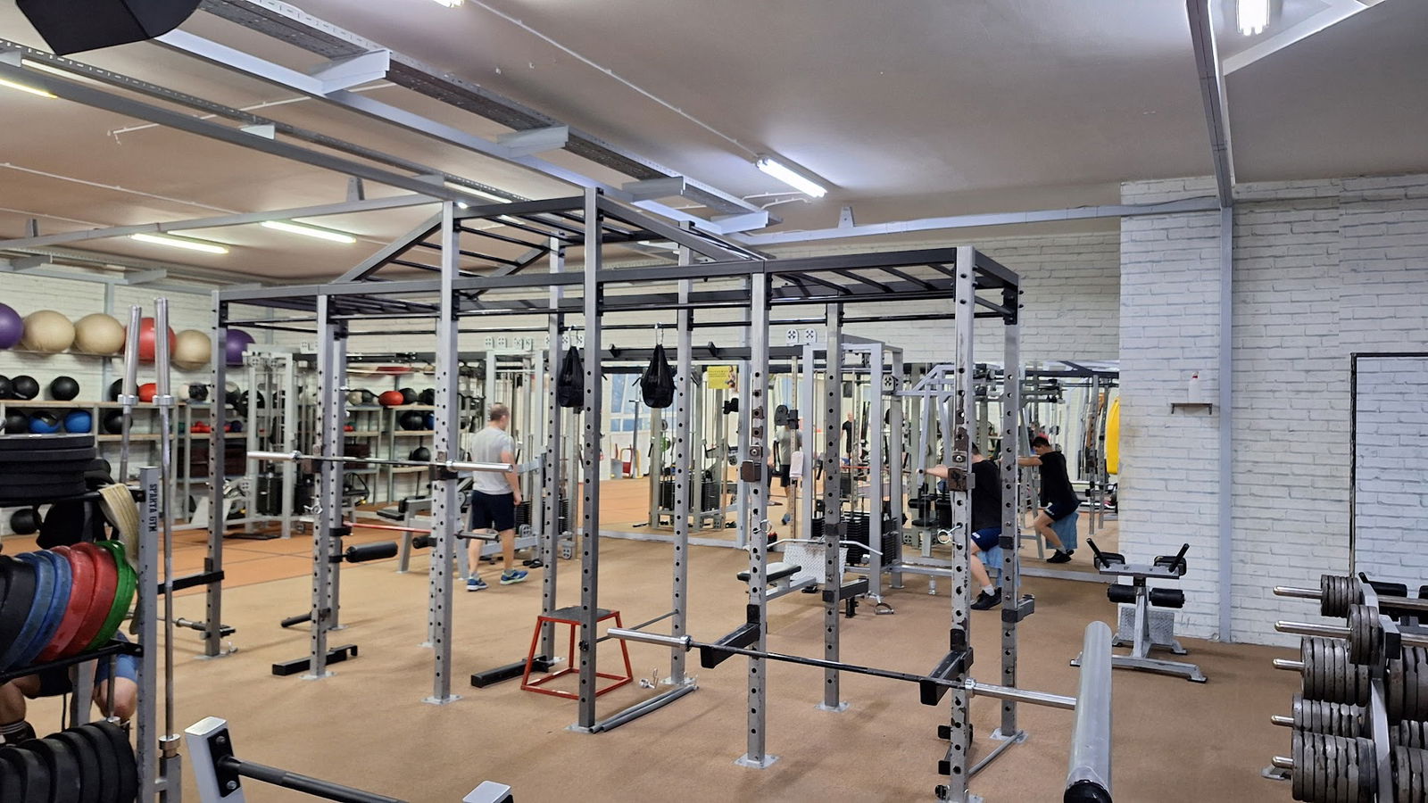 Fitness - Sparta Gym