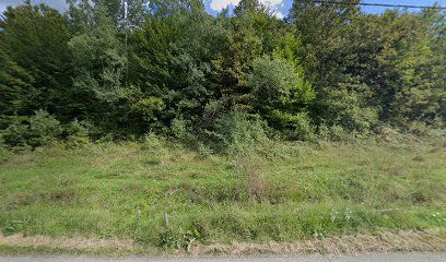 Miočinovići cemetery