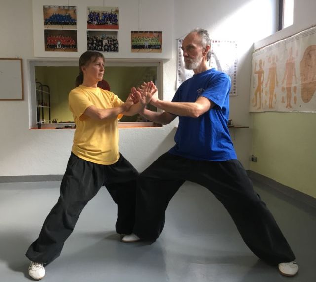 Chen Taijiquan Slovenia