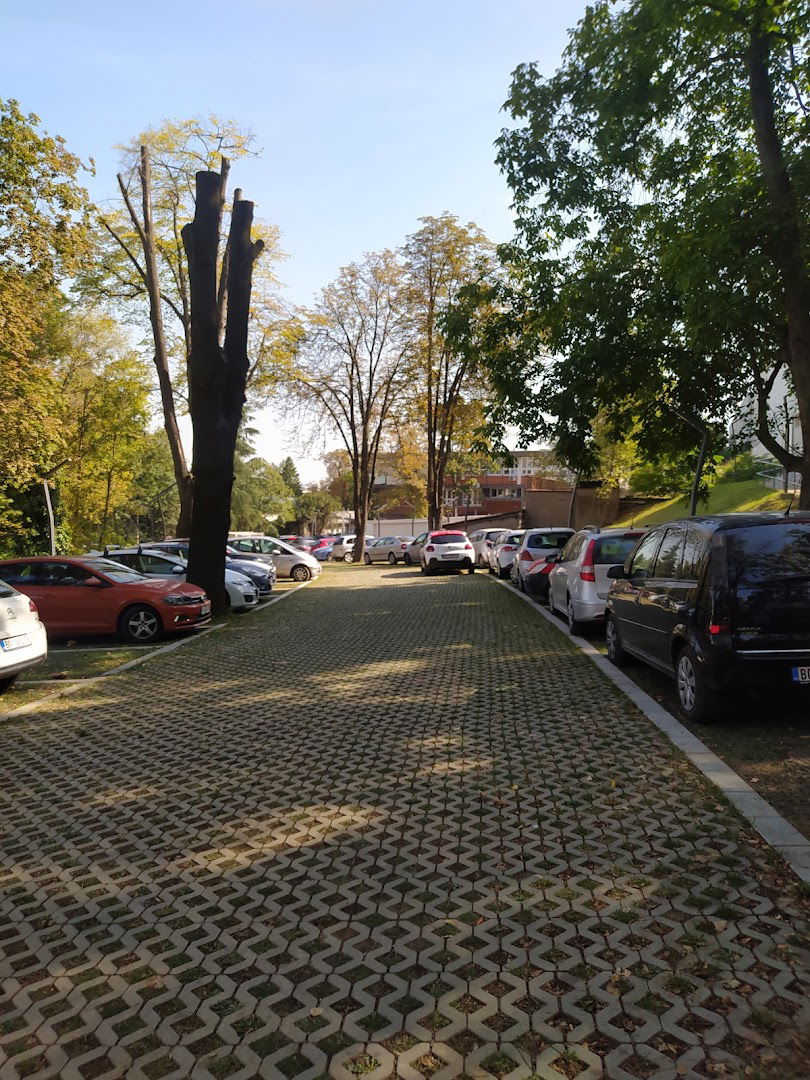 IKVB Dedinje Parking