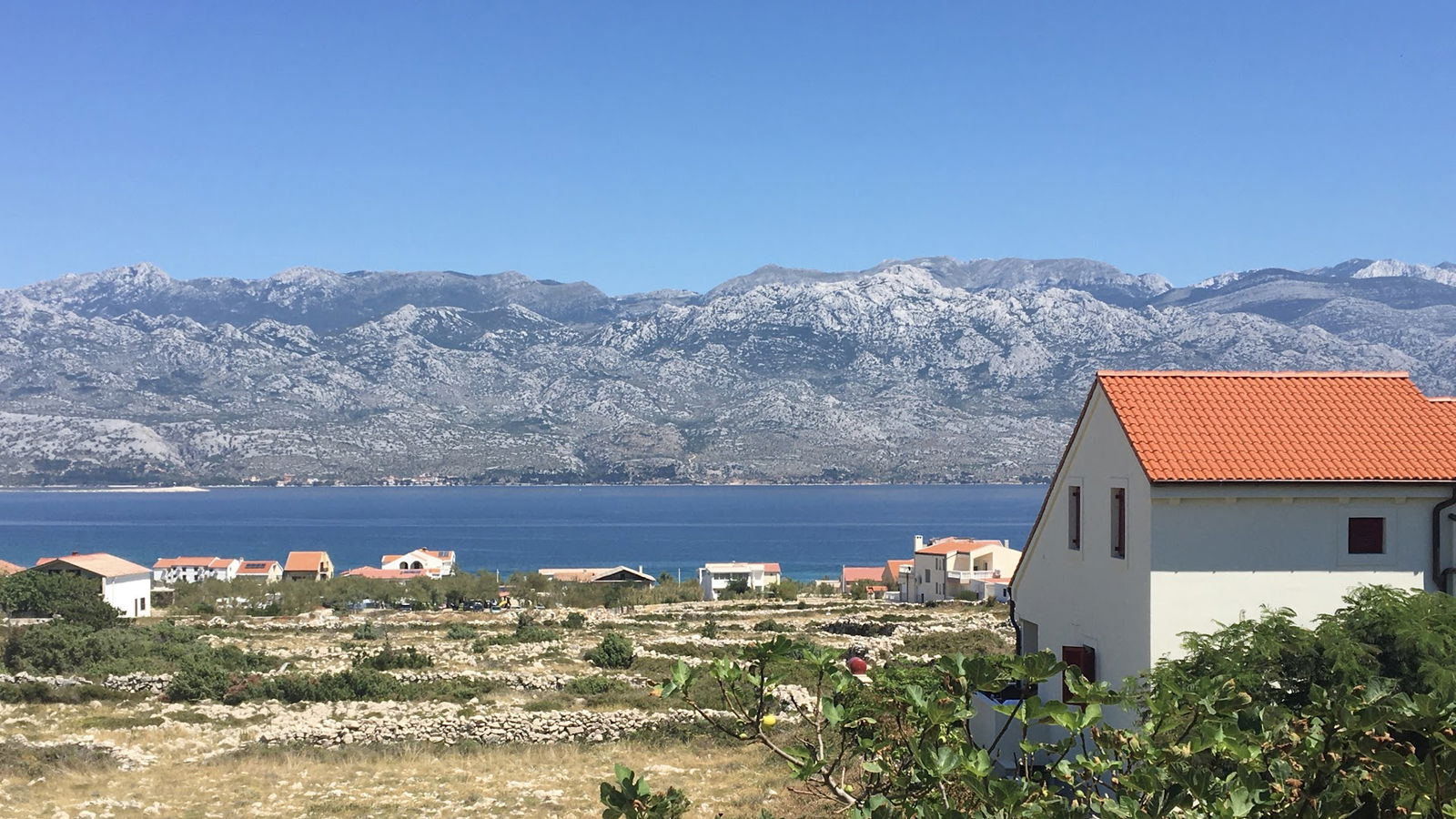 Apartments Villa Venera