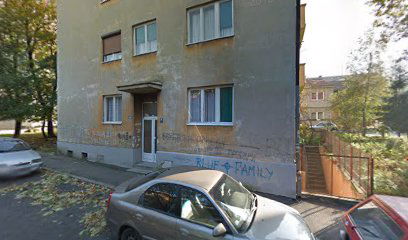 Termoelektro fabrika