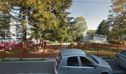 Auto Taxi Slobodan Petrovic