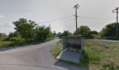 Guberevac - Raskrsnica