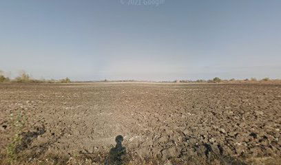 selo skriveno u pesku