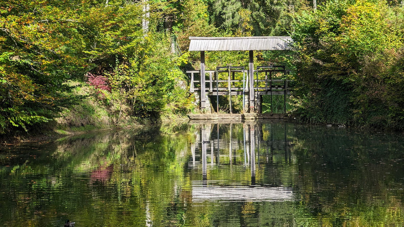 Izvir Mali Obrh (spring)