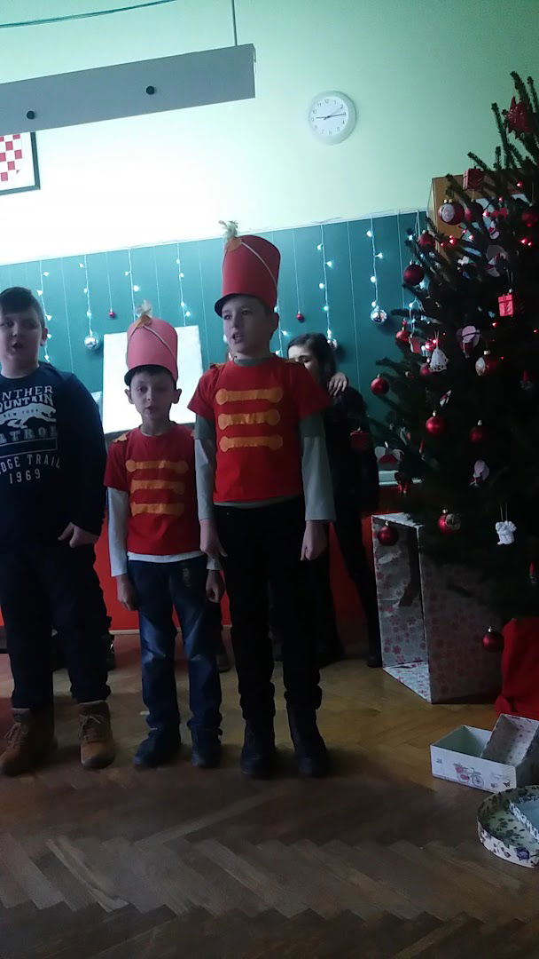 Društveni dom Srijem