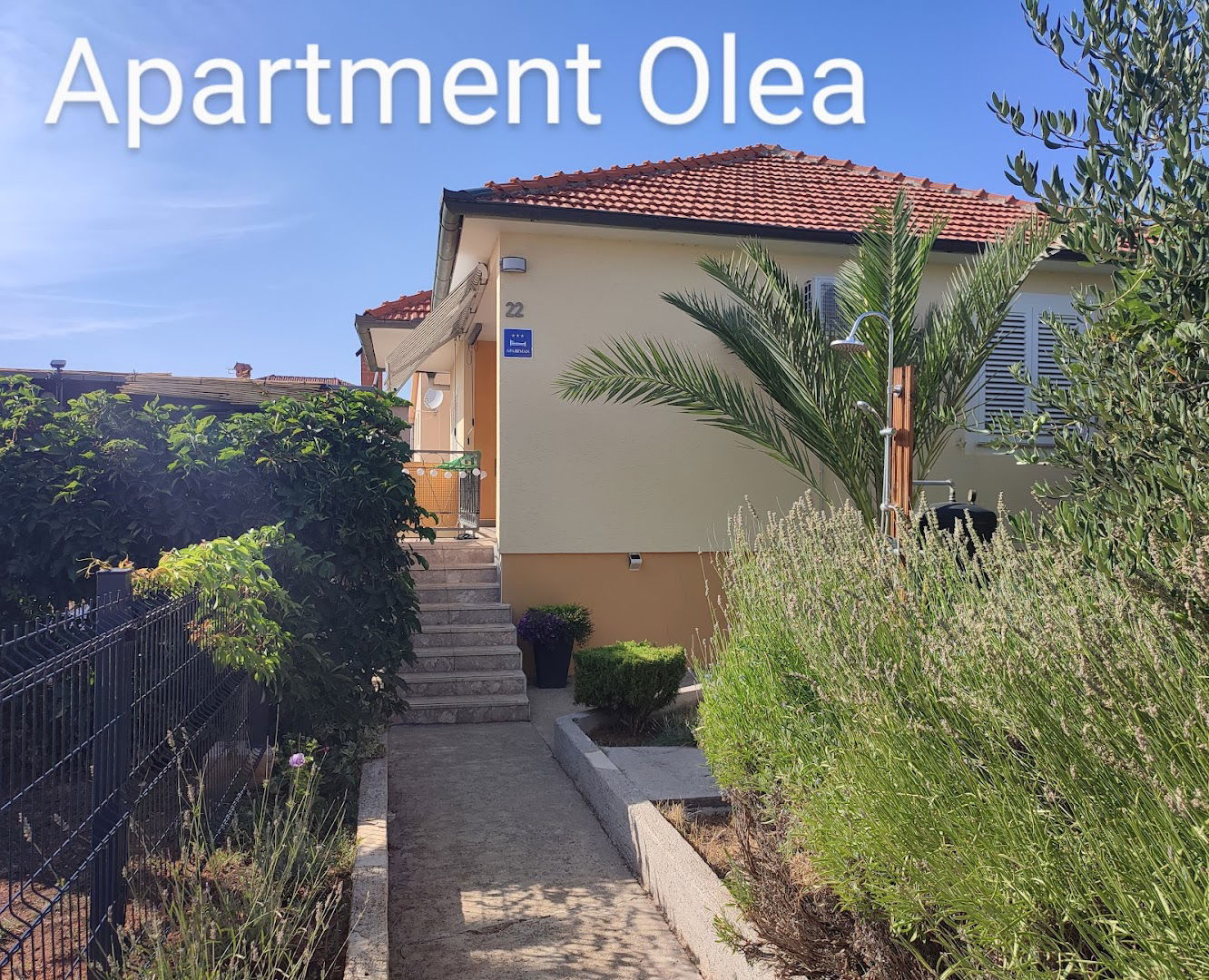 Apartment Olea