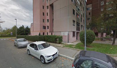 Pedje milosavljevica 29