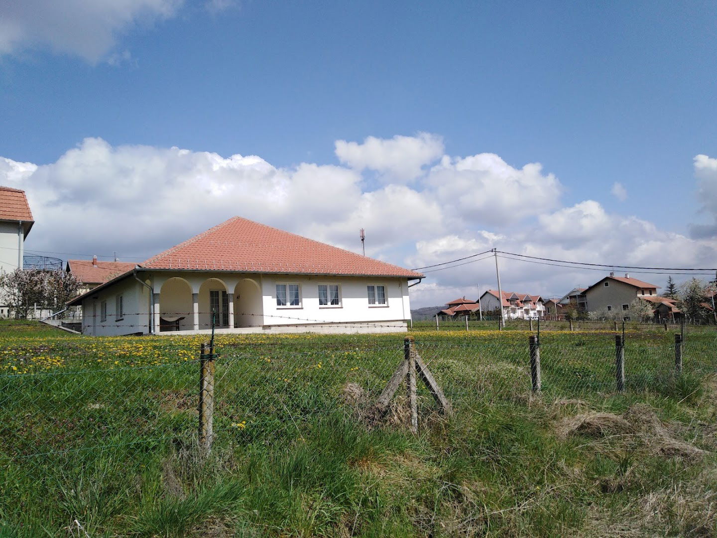 Berbernica Britvičica (Home)