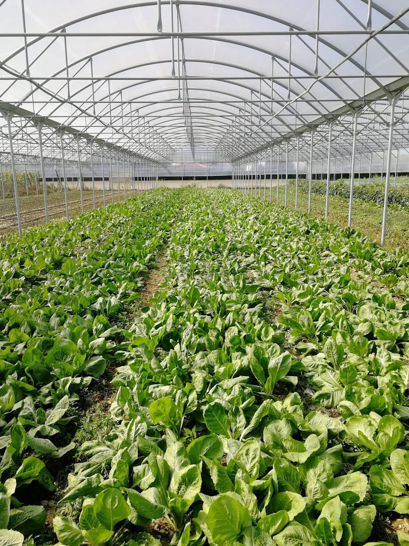 Azienda Agricola Sabrina