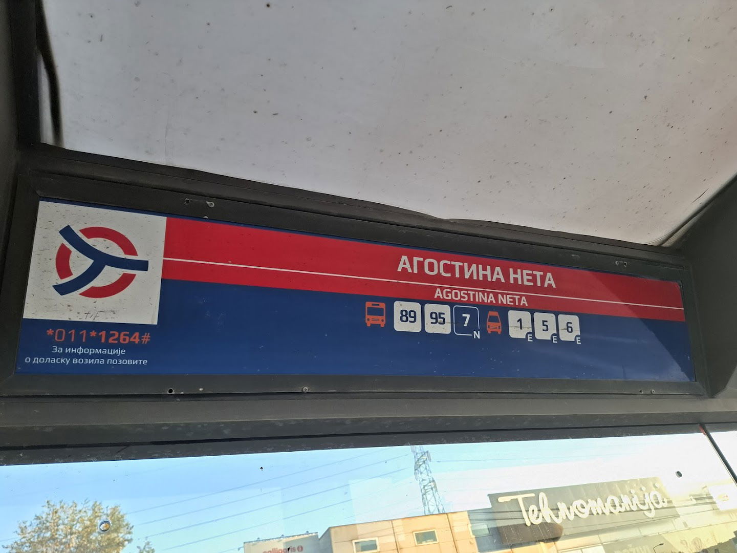 Агостина Нета