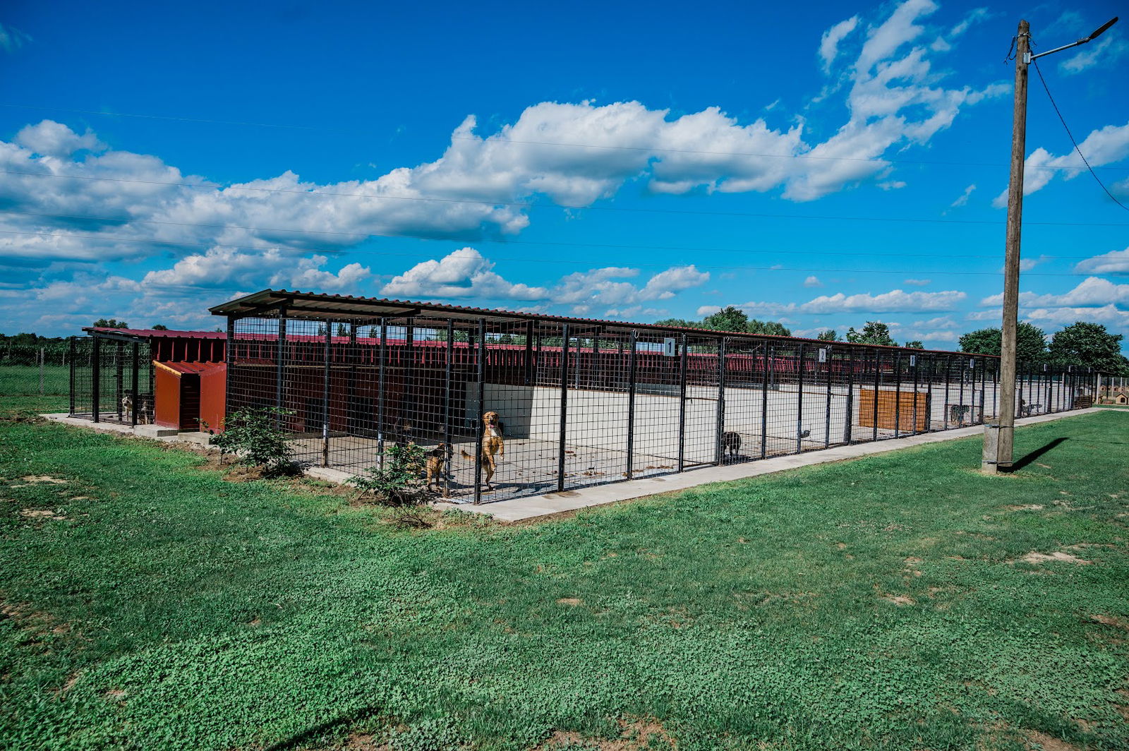 Sklonište za životinje “Ottova kućica”