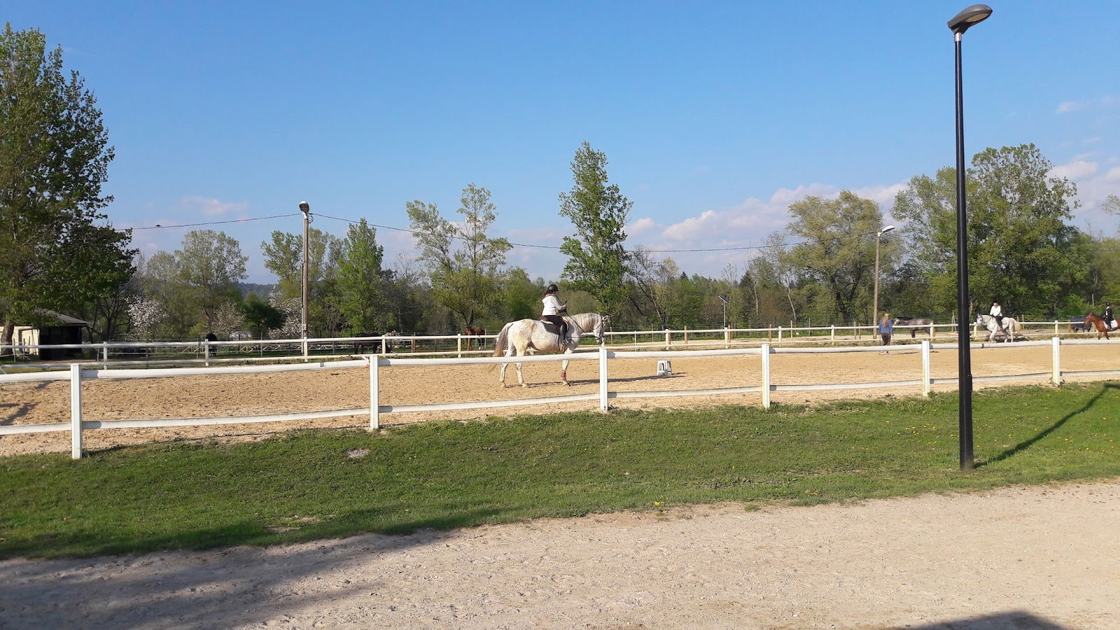 Konjeniški klub Ljubljana