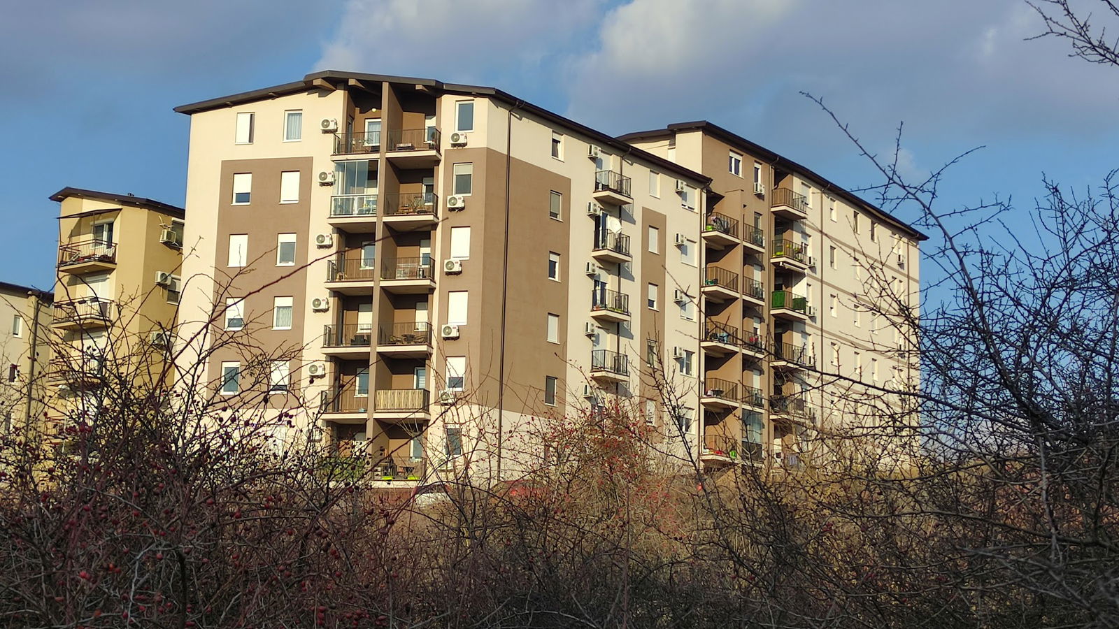 Miljana Miljanica 5G