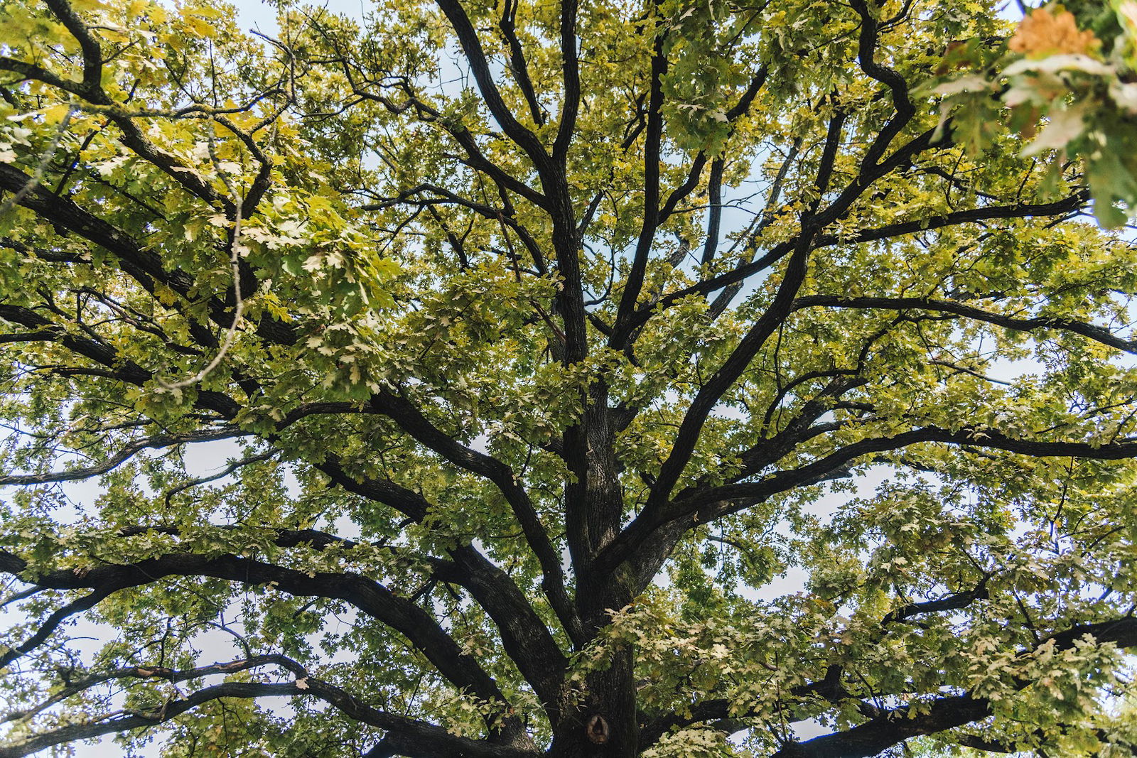 EPOHA, privatna osnovna i srednja škola