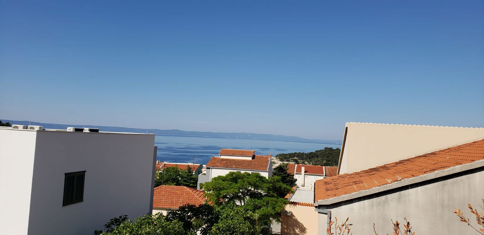 Bougainvillea Makarska