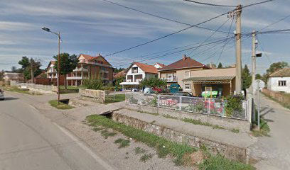 Nemanja plus doo ( Neca marke t)