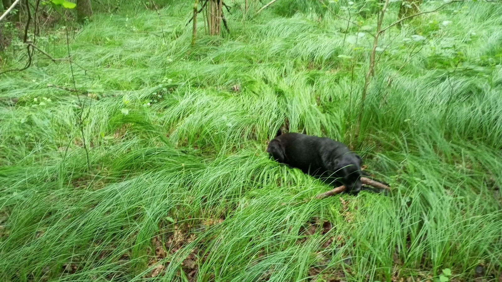 Najzapadnija točka Grada Zagreba