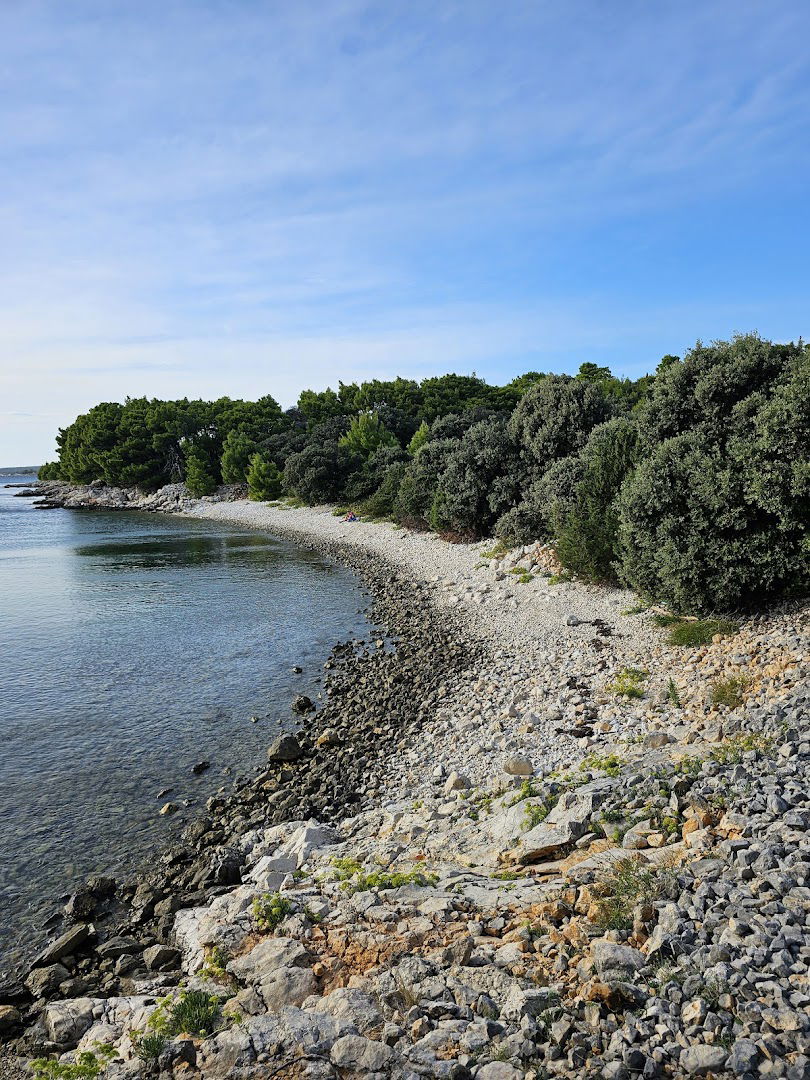 Plaža Maslinica