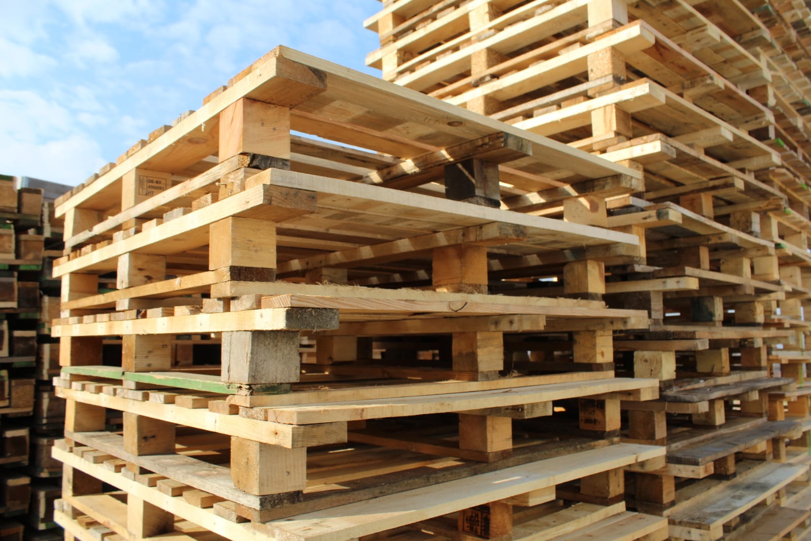 D.O.O BOGOJA99 Palete