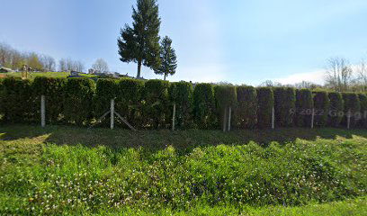 Novska, Rajić cemetery