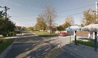 Dalmatinskih brigada