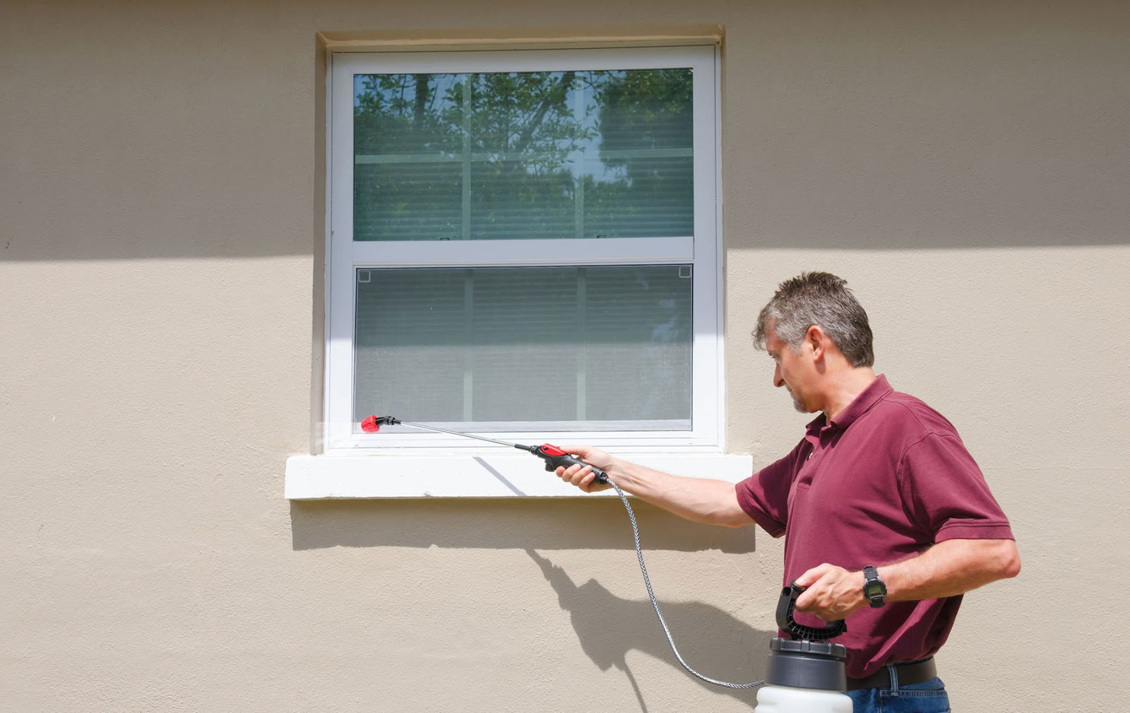 DDD Beograd Dezinsekcija Deratizacija Dezinfekcija