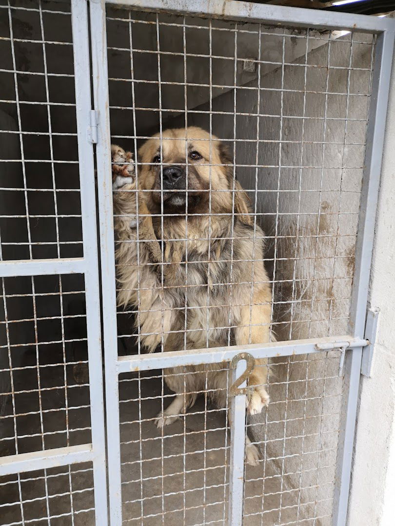 Veterinarska Stanica Minic