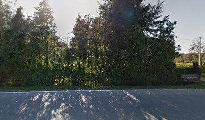 Srbija Šume rasadnik Ripanj