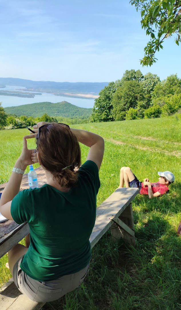 Красивая обзорная площадка с видом на Дунай