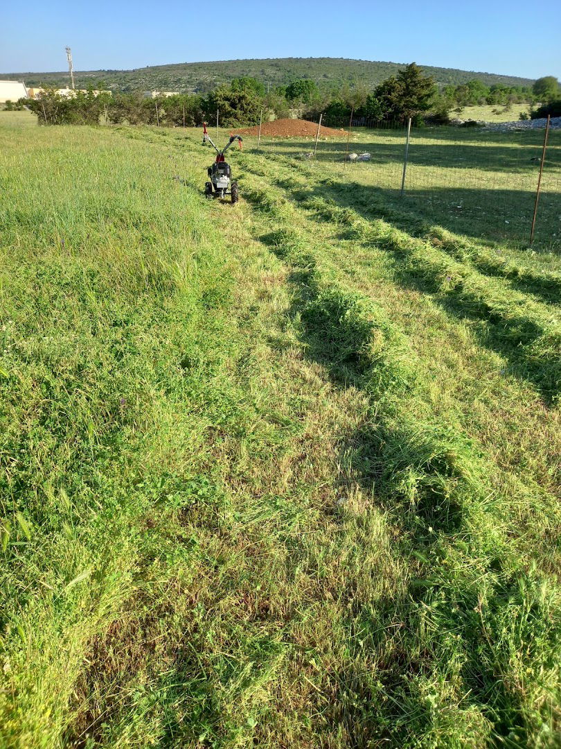 Vestac, Veško polje, Brač