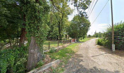 Vajszló MÁV rakodó