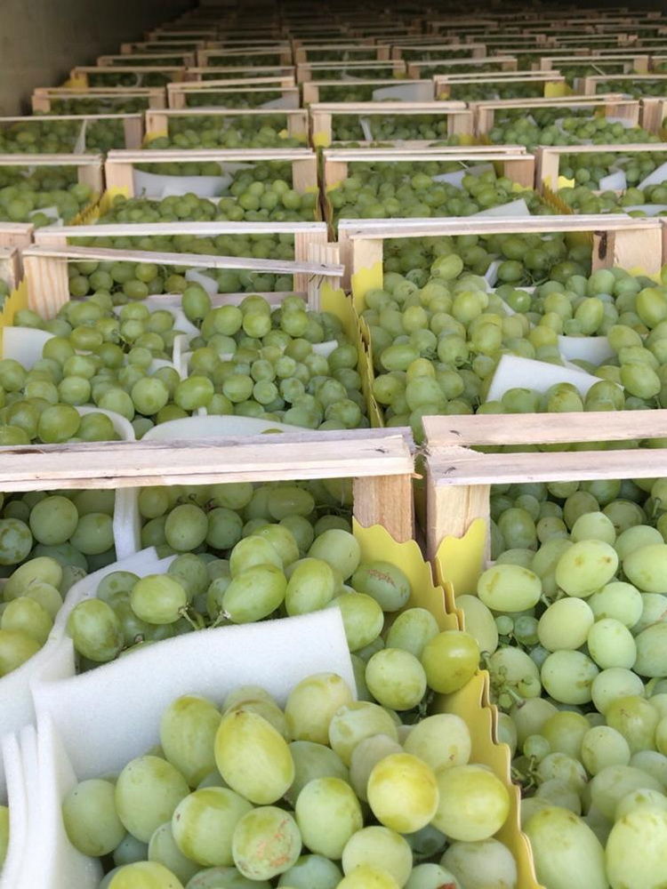 PRINC FRUIT D.O.O. GROCKA