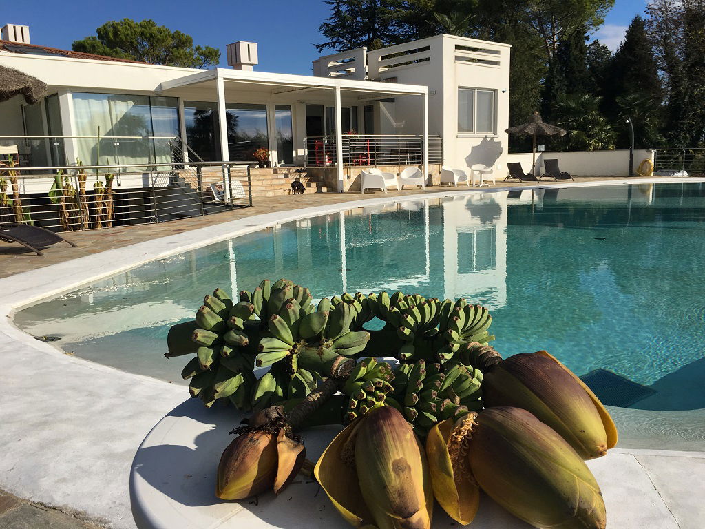 Agriturismo B&B "Loggia degli Artisti"