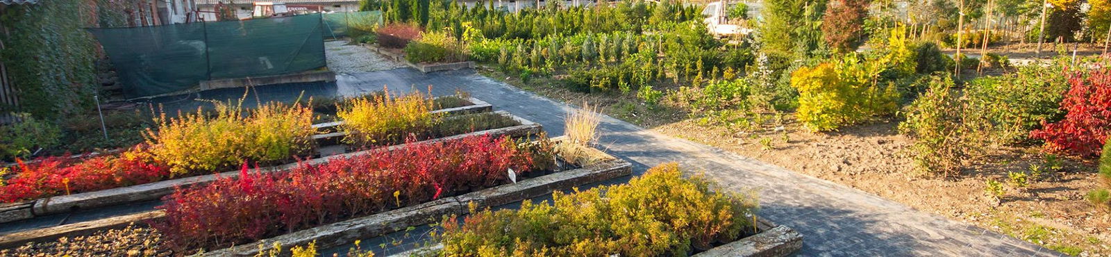 Hortikultura, plantaža in gradnje Brežice d.o.o.