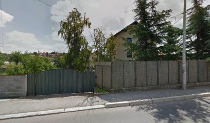 Advokat Katarina Petrović Cvijetić