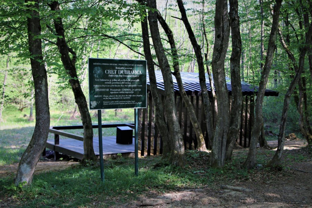 Cret Dubravica