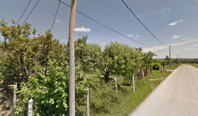 Timočki put (izlaz)