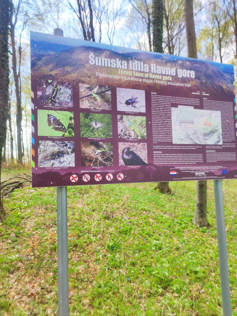Šumska idila Ravne gore -planinarsko edukativna staza