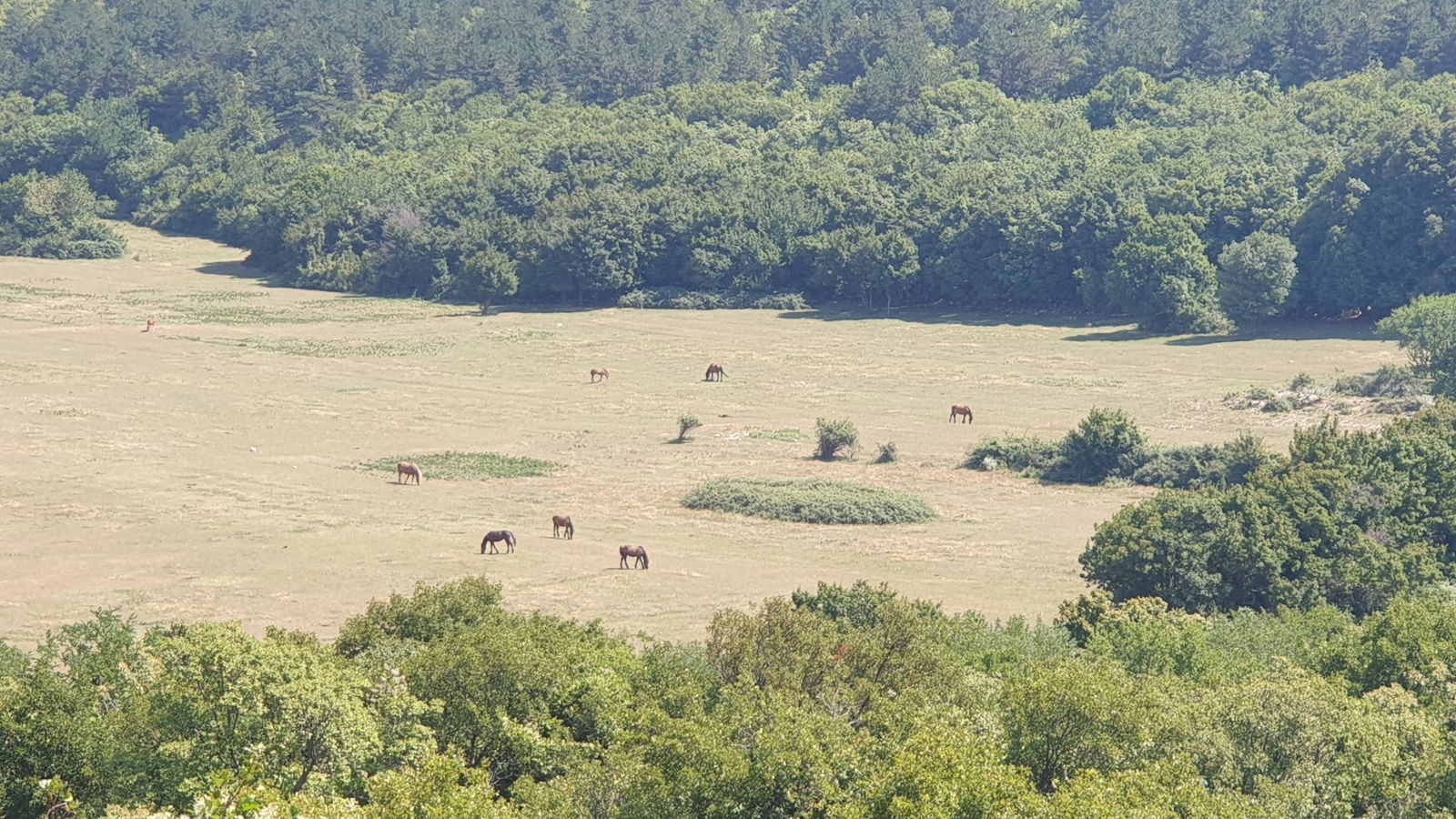 Ledenice (2) cemetery