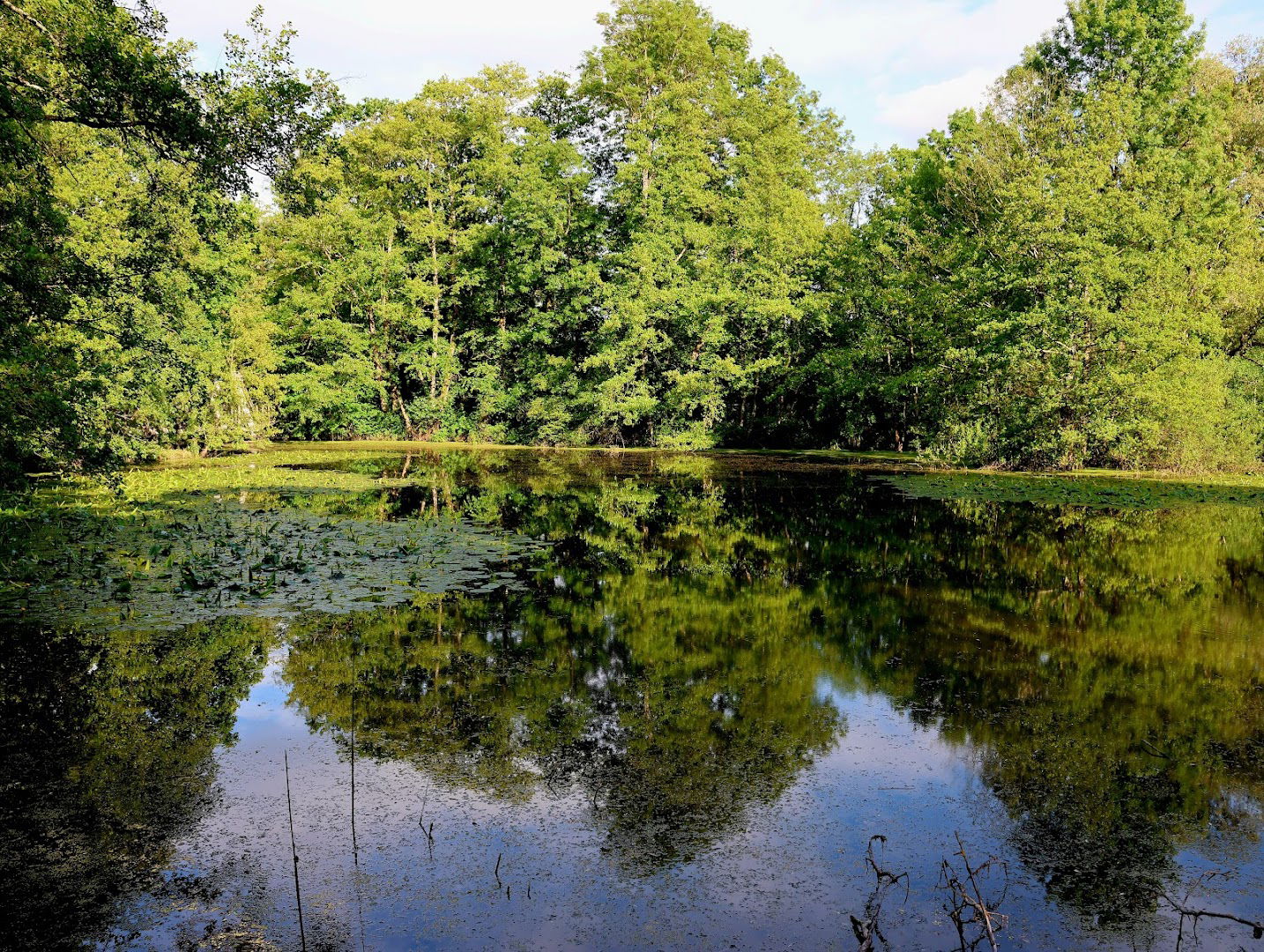 Interpretacijski lokalitet Medjame