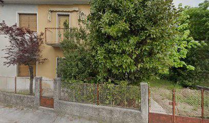 Kornetic the Lizalic store