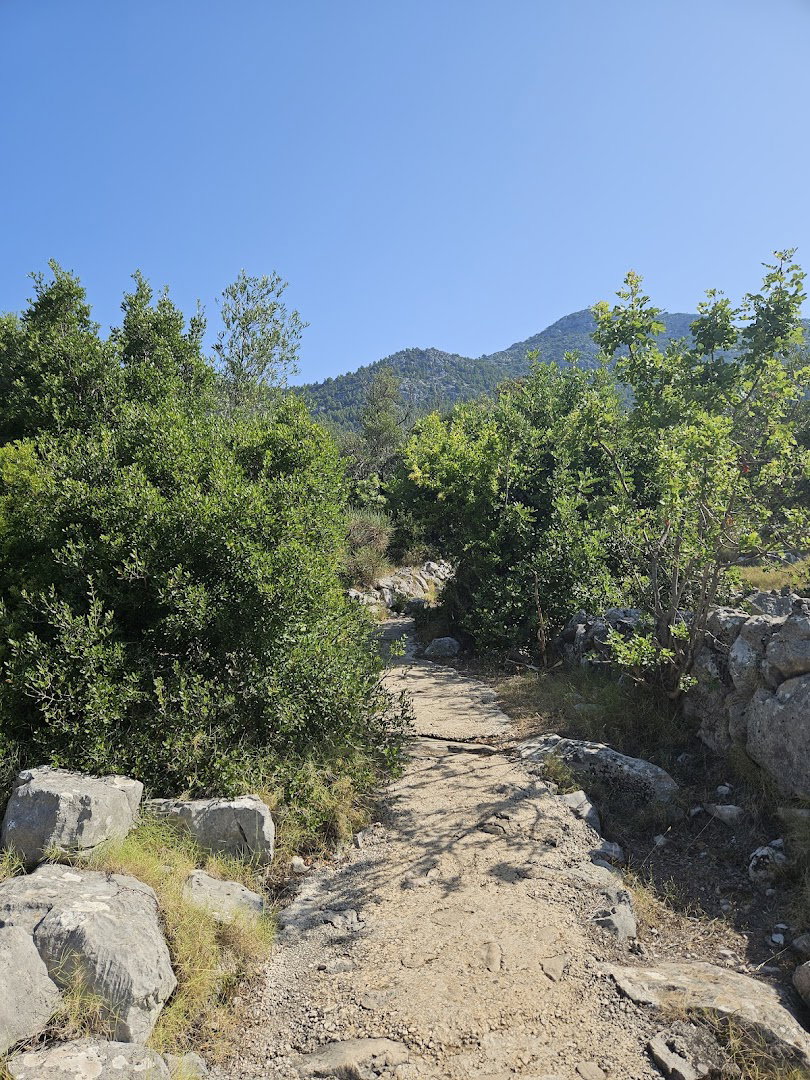 Parking Odysseys cave