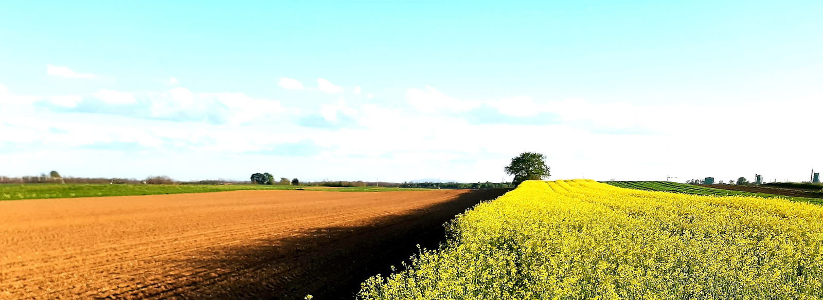 Panvita, Agromerkur - Proizvodnja Perutninskega mesa, d.o.o.