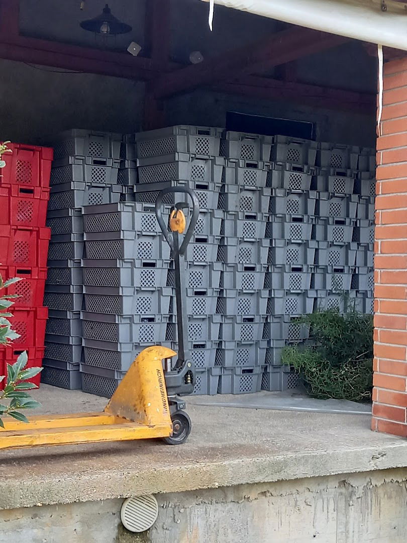 Posejdon vinery Bagur