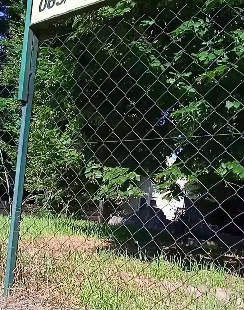 KUD Branko RADICEVIC