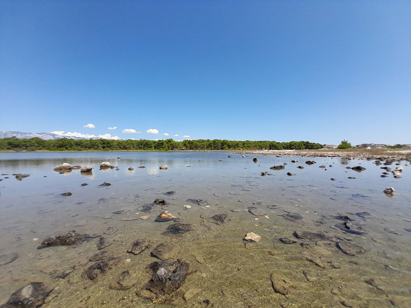 Segal - ljekovito blato