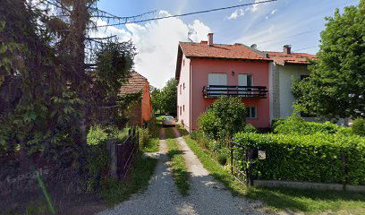 Auto Mehatronika Leko