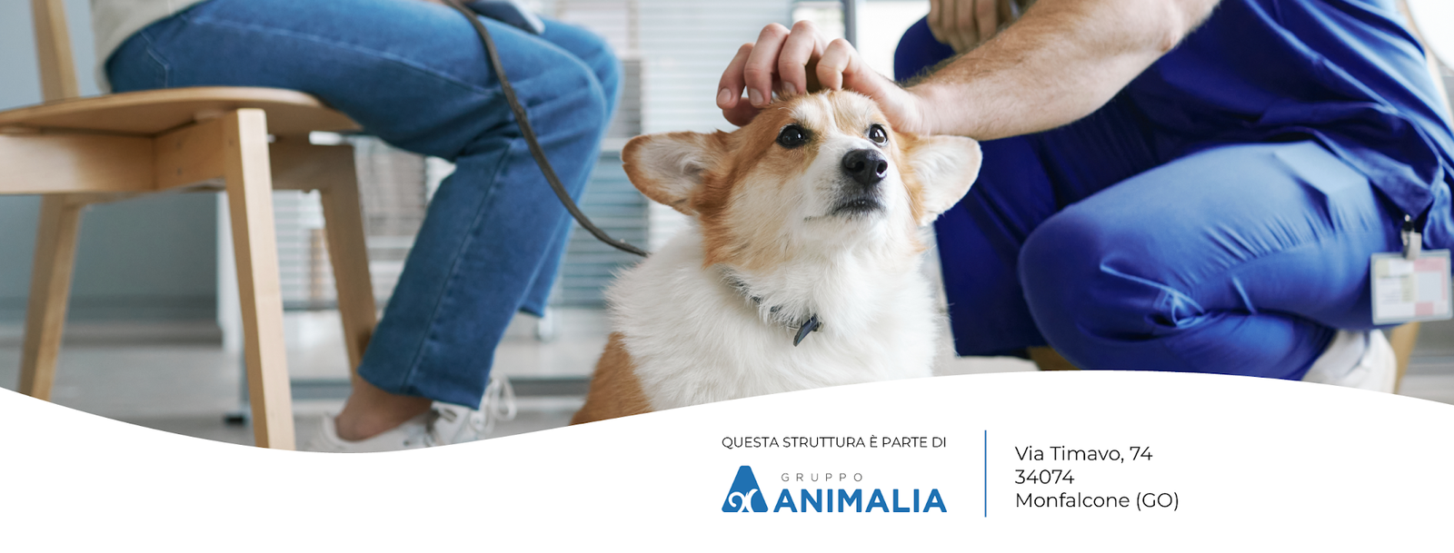 Clinica Veterinaria Timavo SRL